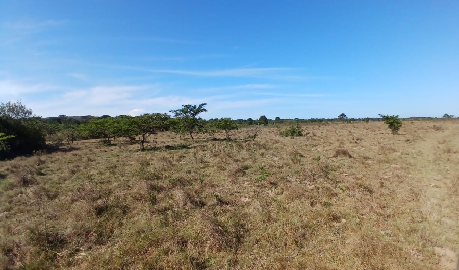 Commercial Property for Sale in Bathurst Rural Eastern Cape